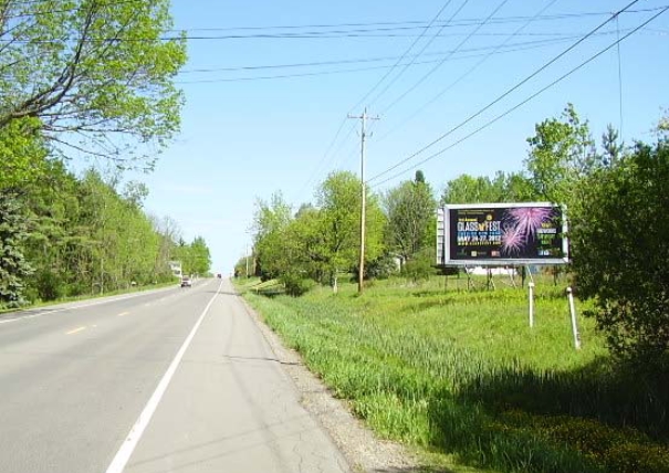 E/S RT. 96B .3 MI S/O NELSON RD Media