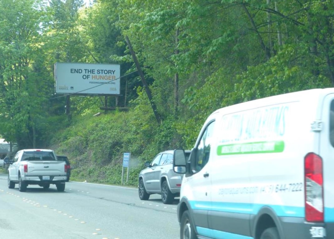 BOTHELL WY NE WL 1074F S/O HALL RD NF Media