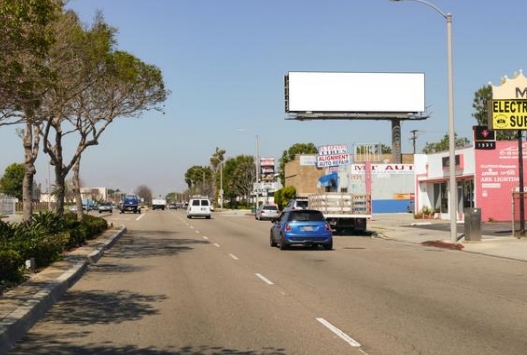 Location photo for Artesia Blvd near Torrance Lice Removal (Gardena)