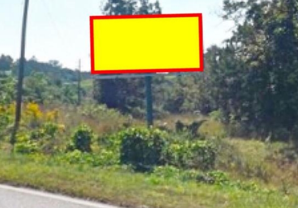 Location photo for AL-239 (Clayton)