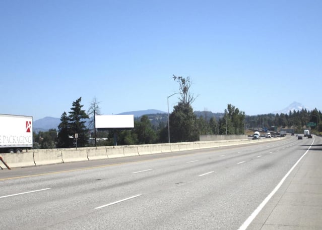 Location photo for NE Sandy Blvd near Fairview Woods Wetland Park (Wood Village)