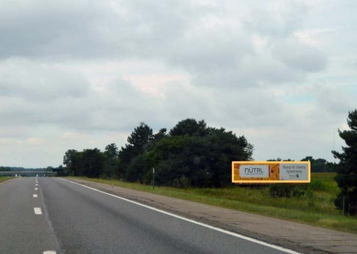 I-96 4 MI E/O OKEMOS EXIT 110 N/S F/E Media