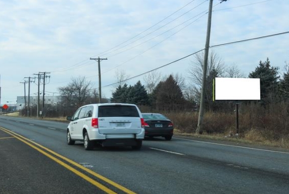 Location photo for Marquette Dr near Veterans Woods - Roy F. Hassert Grove (Bolingbrook)