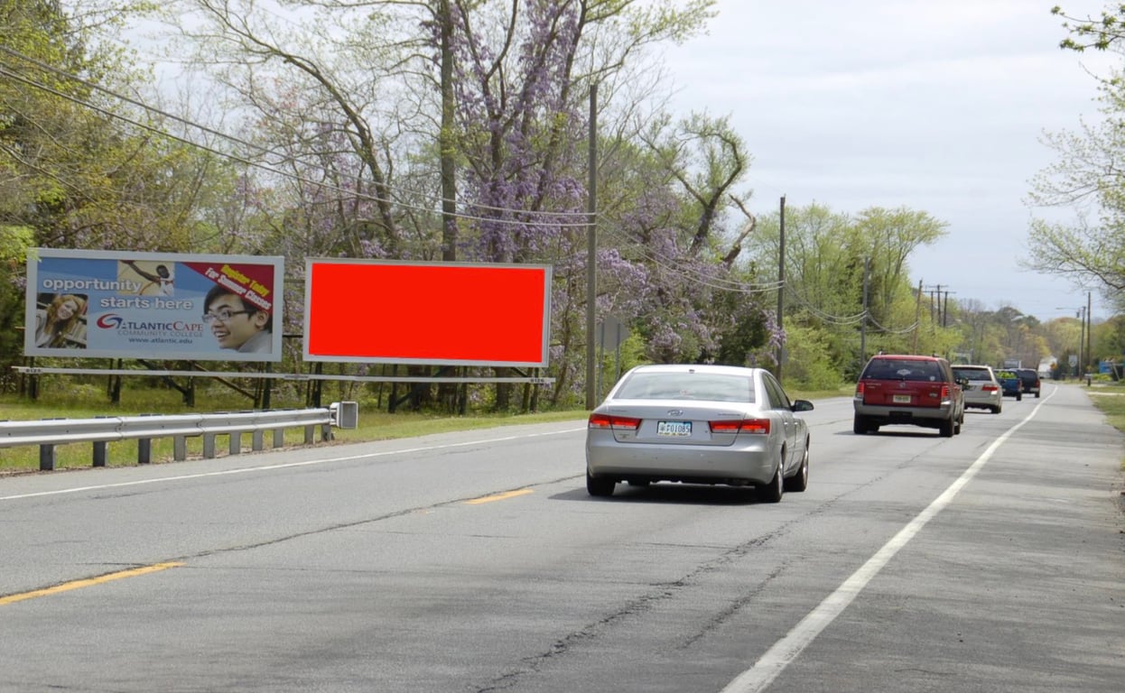 Location photo for NJ-50 near Jimmy the Greenfield Donkey, Ocean View (Upper Township)