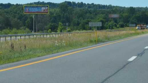 E/S I-81 .3 MI S/O EXIT 44, 1176 Media