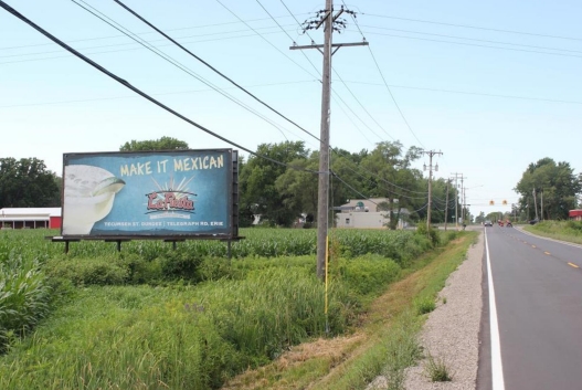 Lewis Ave 655 ft S/O Samaria Rd WS Media