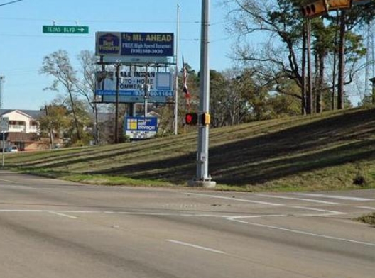 Location photo for TX-105 near Julia's frog pond (Montgomery)