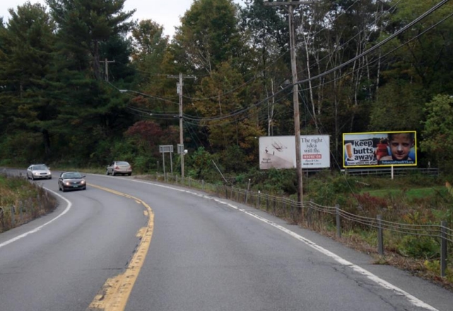RT 22, 1/4 MI N/O TELFORD RD, HOOSICK Media