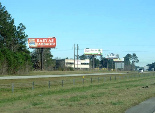 I-95 0.5 mi N/O US 78 WS
