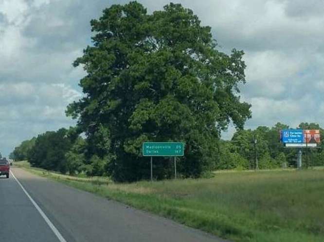 I-45/ .8 mi N/O SH 75/ Huntsville Media