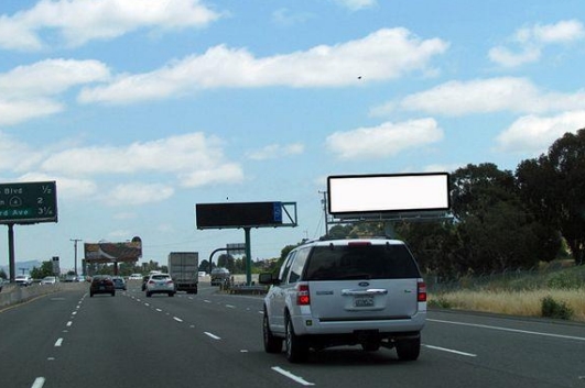 Location photo for Arthur Rd near Waterbird Regional Preserve (Martinez)