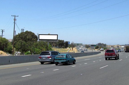 Location photo for Arthur Rd near Waterbird Regional Preserve (Martinez)