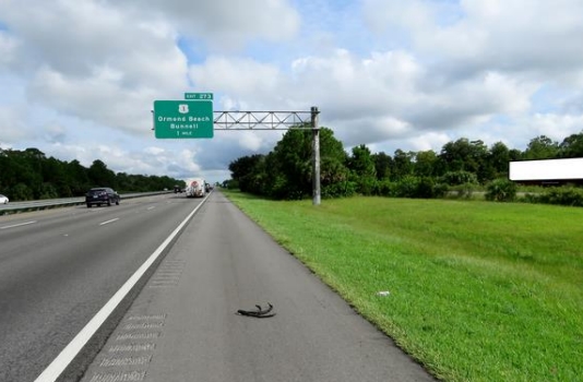 Location photo for I-95 ES 0.8mi S/O US 1 NG F/S - 1