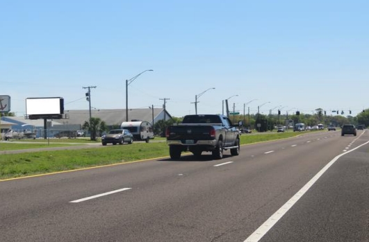 Location photo for US-19 near Gorilla Road Side Attraction (Crystal River)