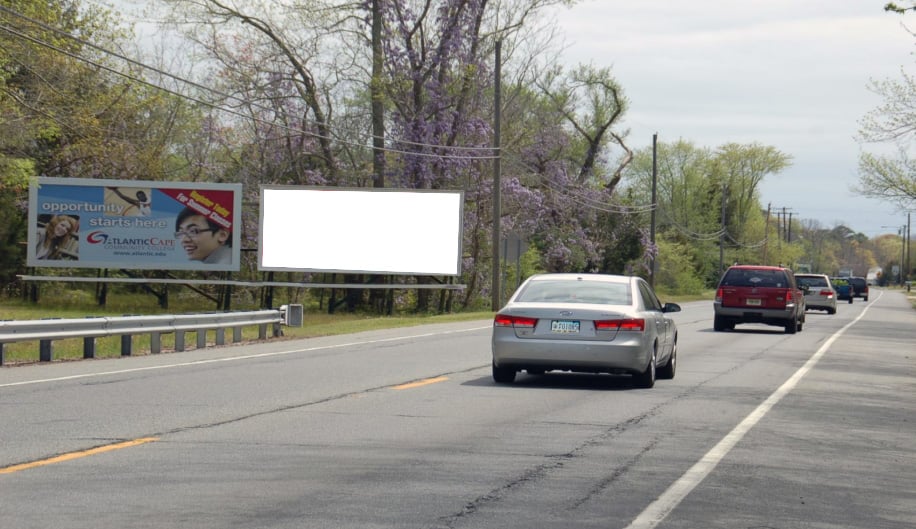 Location photo for NJ-50 near Jimmy the Greenfield Donkey, Ocean View (Upper Township)
