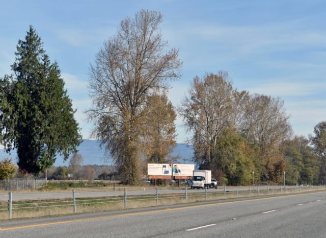 Location photo for Bradshaw Rd near Barone Garden Art (Mount Vernon)