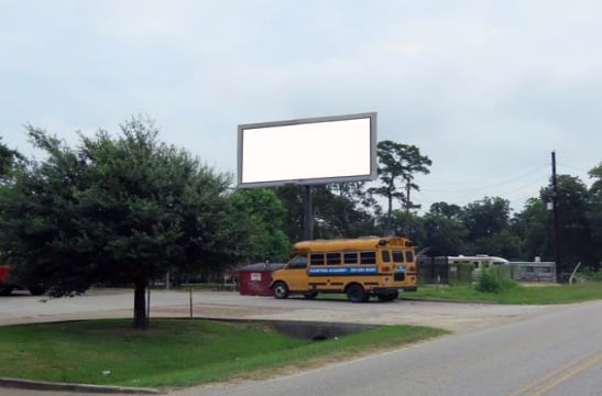 Location photo for Treaschwig Rd near Birnamwood Plaza, Birnam Wood (Spring)