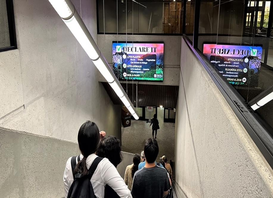 Video Walls in Honolulu, HI