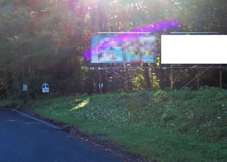 Rt 202 75 ft W/O Walnut St S/S F/W Media