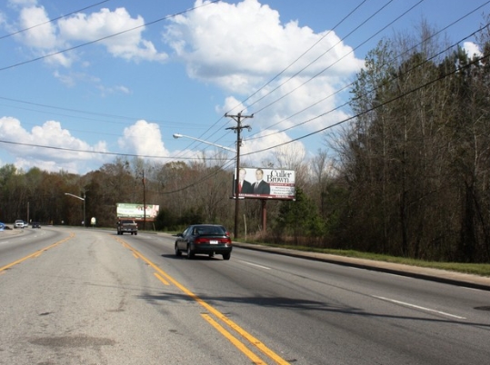 US 301 0.43 mi S/O ANDREW DIBBLE ST ES Media