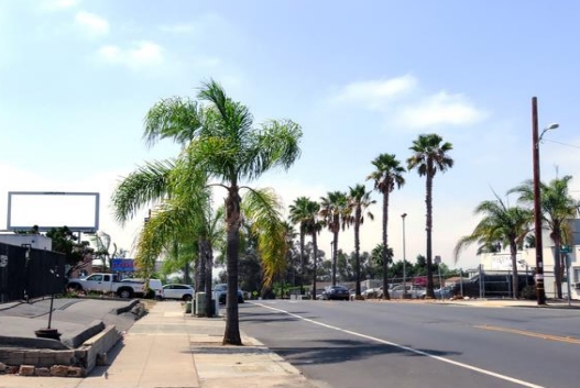 Location photo for Euclid Ave near Euclid Av & Isla Vista Dr, Islenair (San Diego)