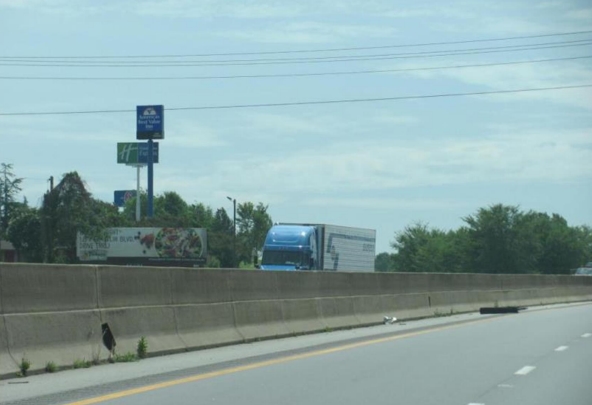 I-85 0.2 mi S/O US 321 WS F/S - 1 Media