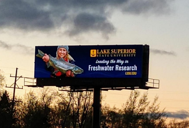 I-75 @ BRIDGE W/S F/S Media