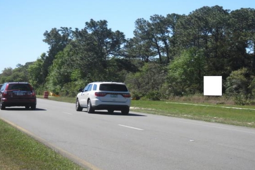 Location photo for S Suncoast Blvd near Roadside Statues (Homosassa)