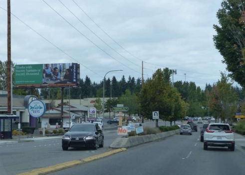 Rotary Bulletin / Regular in Bellevue, WA