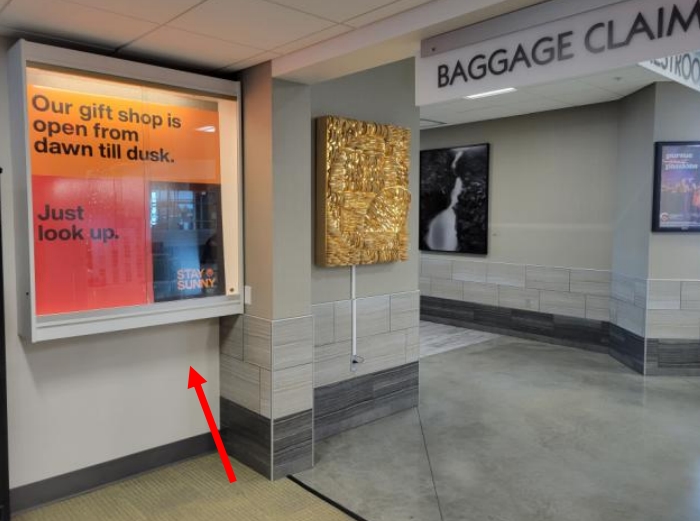 Large Case in Triumph, ID