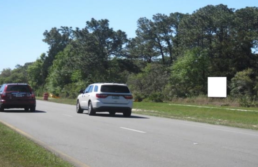 Location photo for S Suncoast Blvd near Roadside Statues (Homosassa)