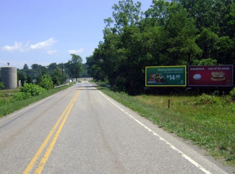 US 501 .5 MI S/O BUENA VISTA F/S #1