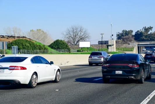 Location photo for Troy Dalton St near Ricardo Favela Park, East Sacramento (Sacramento)