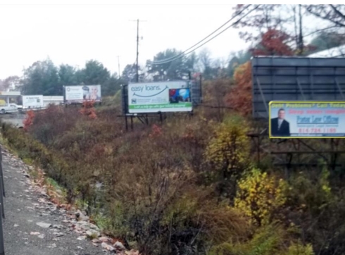 RT 8&62 2 MI N/O JCT RT 8 FRNKLN W/S FN