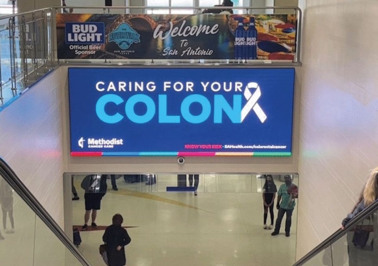 Escalators - Single Digital Wall Display