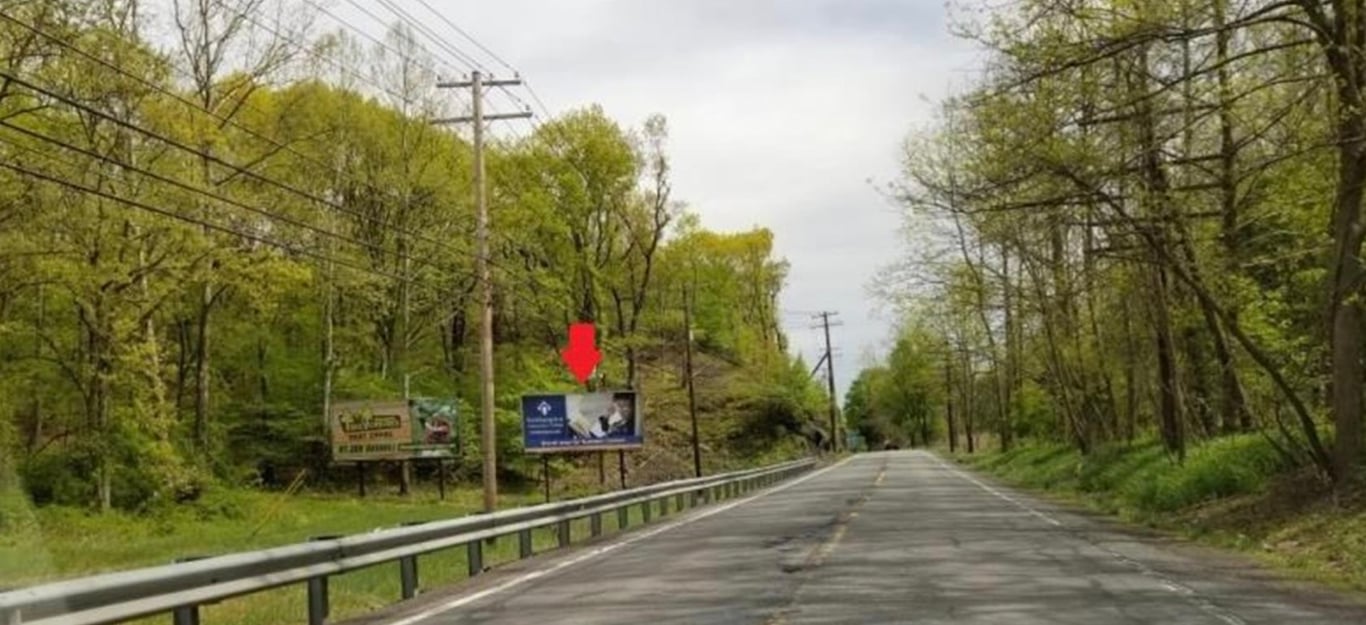 Location photo for Paradise Trail near Brodhead Creek Park (East Stroudsburg)