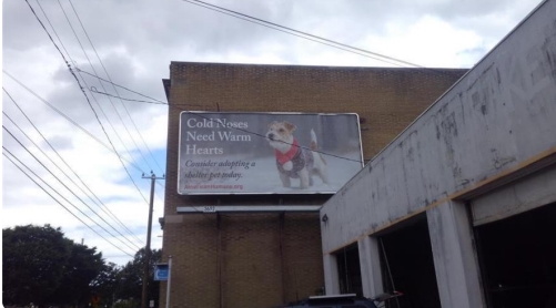 Location photo for Elm St near MURAL: Dream, Inspire, and Justice (MLK, JFK, and RBG) (Danbury)