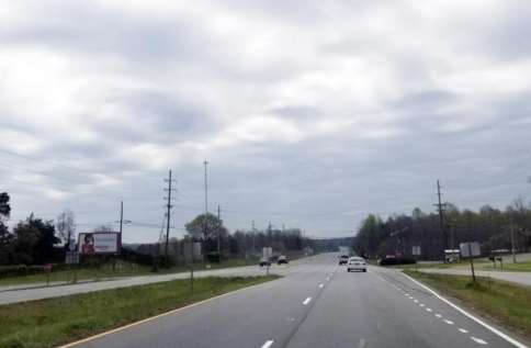 Location photo for Radio Dr near Jordan Veterinary Hospital (Lexington)