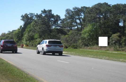 Location photo for S Suncoast Blvd near Roadside Statues (Homosassa)
