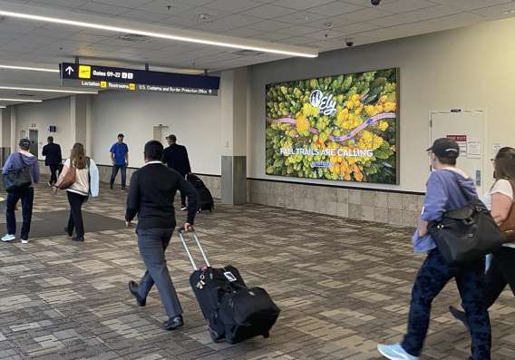 Lit Tension Fabric Display