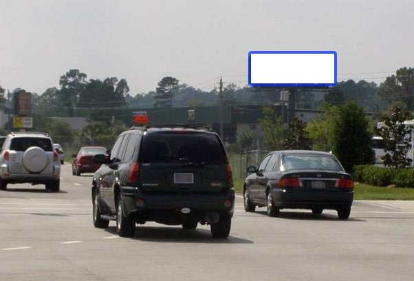 Location photo for Tree Blvd near Cobblestone Publix (St. Augustine)