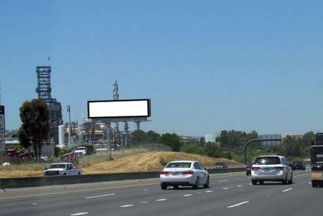 Location photo for Waterbird Regional Preserve (Vine Hill)