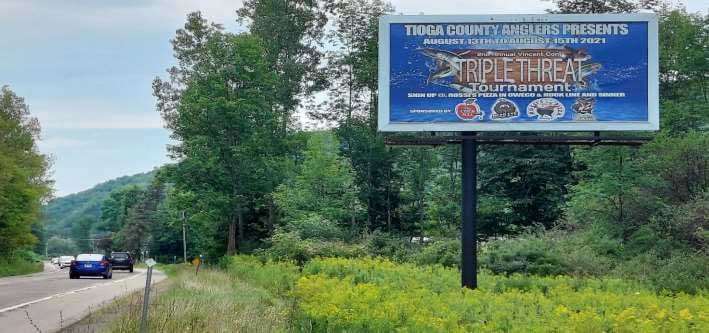 RT 96B 2 MI N/O ARTS BUSY MART Media