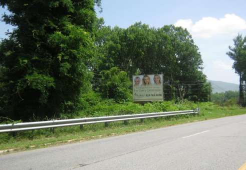 HWY 19E .3 MI N/O BRUSHY CREEK RD LR/FE Media