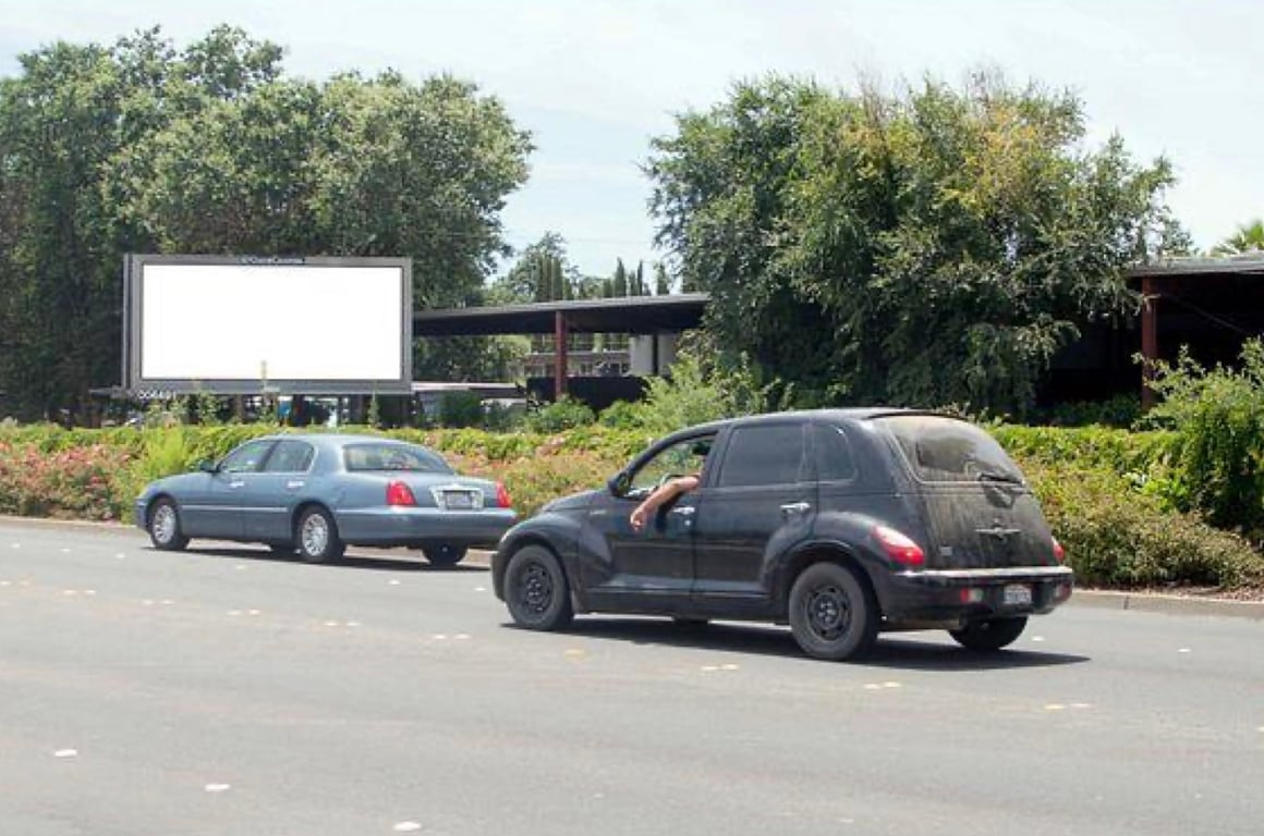 Location photo for Elliot St near Freeman Park (Woodland)