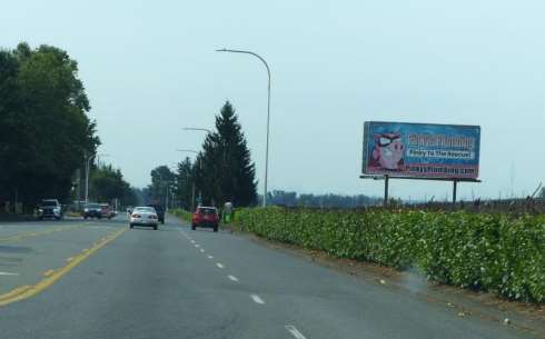 "A" ST SE WL 444F S/O 17TH ST SE NF-2 Media