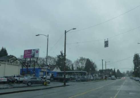 Location photo for Martin Luther King Jr Way near Nora's Woods, Central District (Seattle)