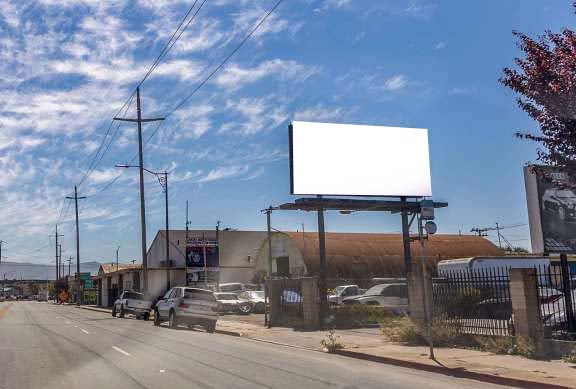 Market E 50 ft E/O Peach S/S F/W Media