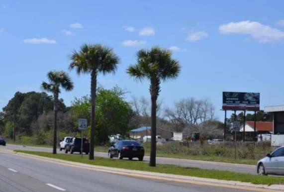 SR A1A 0.1 mi S/O Amelia Island Parkway ES Media