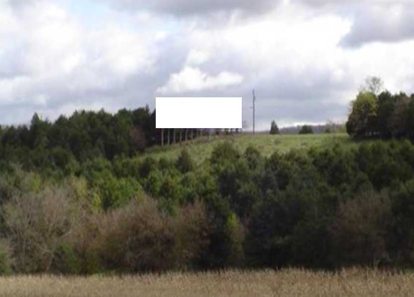 Location photo for Old Gravel Rd (Timberville)